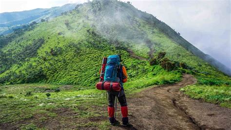 Tips dan Saran untuk Pendaki Pemula Ekosistem Gunung Parang